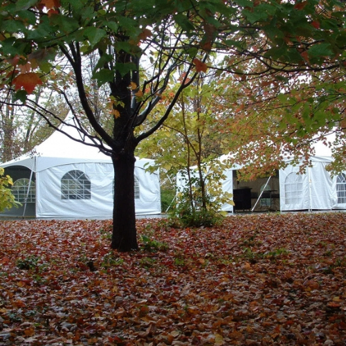 Farnsworth House in Plano, IL