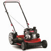 Push Mower - 21 Cut - Mulcher